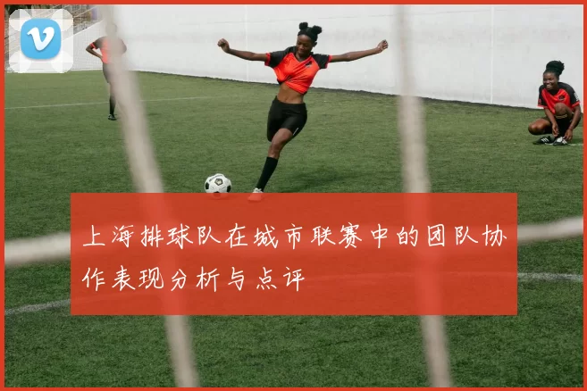 上海排球队在城市联赛中的团队协作表现分析与点评