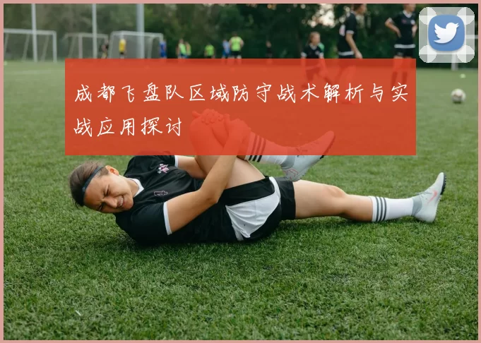 成都飞盘队区域防守战术解析与实战应用探讨