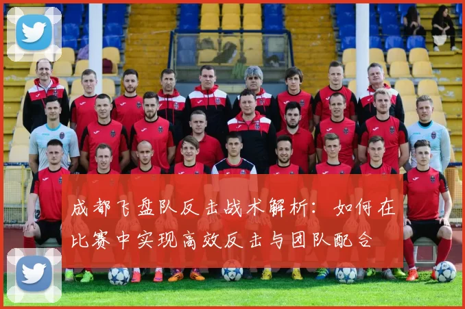 成都飞盘队反击战术解析：如何在比赛中实现高效反击与团队配合