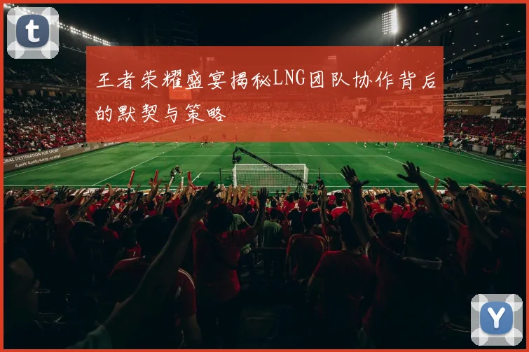 王者荣耀盛宴揭秘LNG团队协作背后的默契与策略