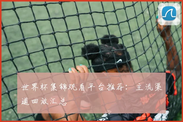 世界杯集锦观看平台推荐:主流渠道回放汇总