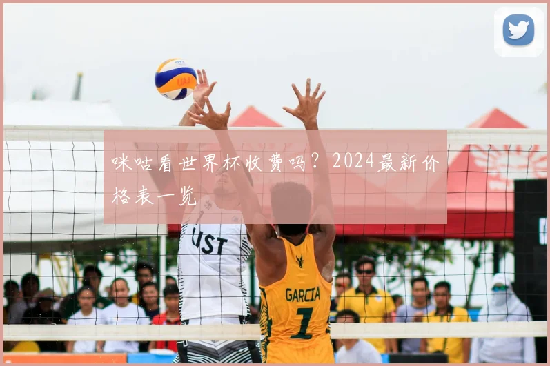 咪咕看世界杯收费吗？2024最新价格表一览
