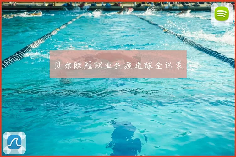 贝尔欧冠职业生涯进球全记录