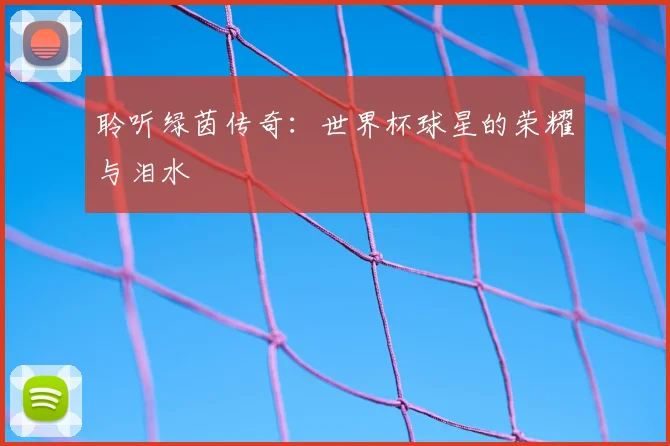 聆听绿茵传奇：世界杯球星的荣耀与泪水